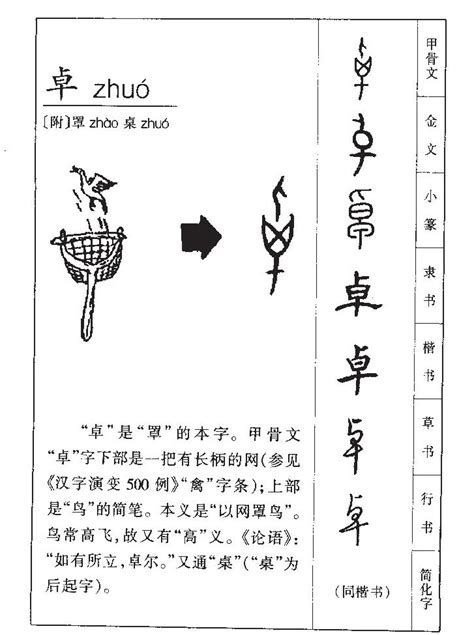 卓名字意思|卓字起名寓意、卓字五行和姓名学含义